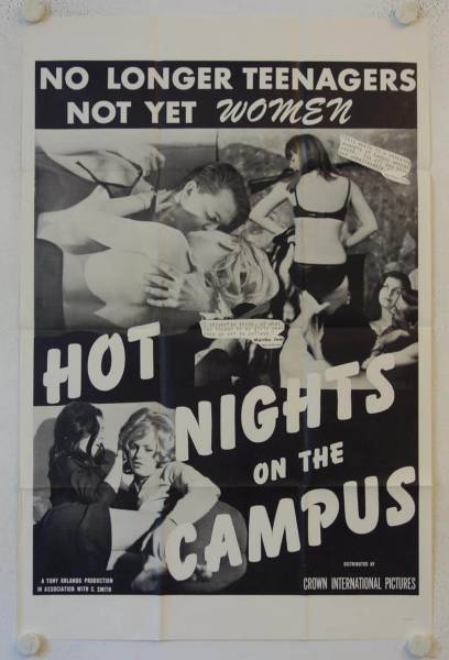 Hot Nights on the Campus originales US Onesheet Filmplakat